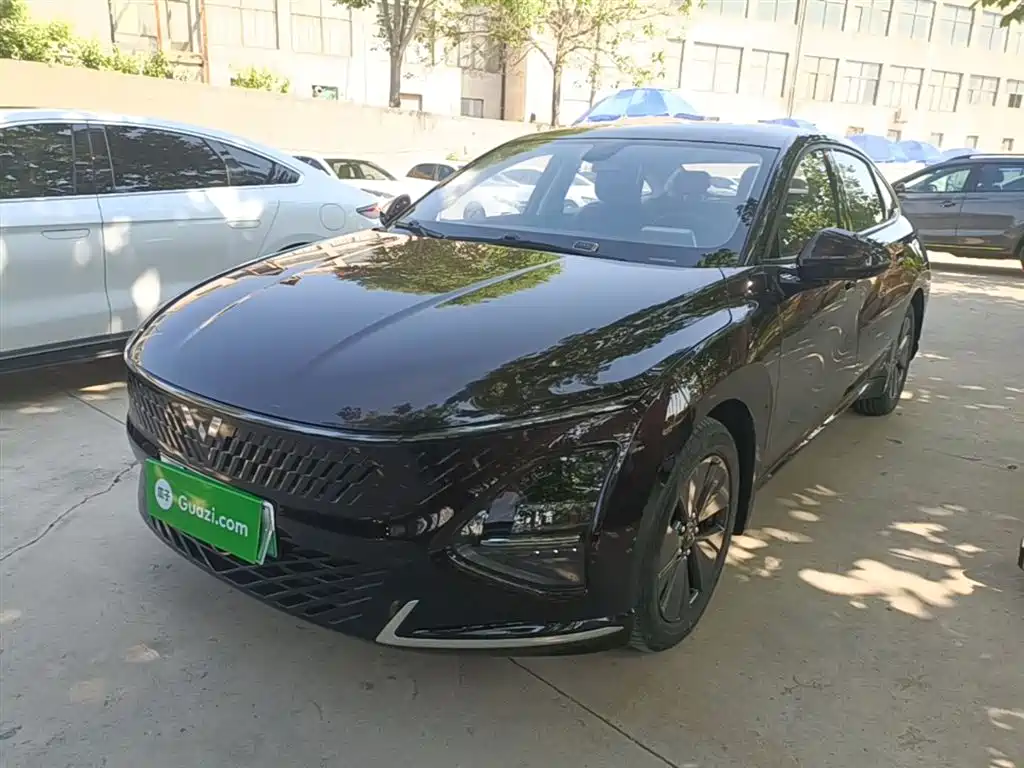 Wuling Xingguang 2024