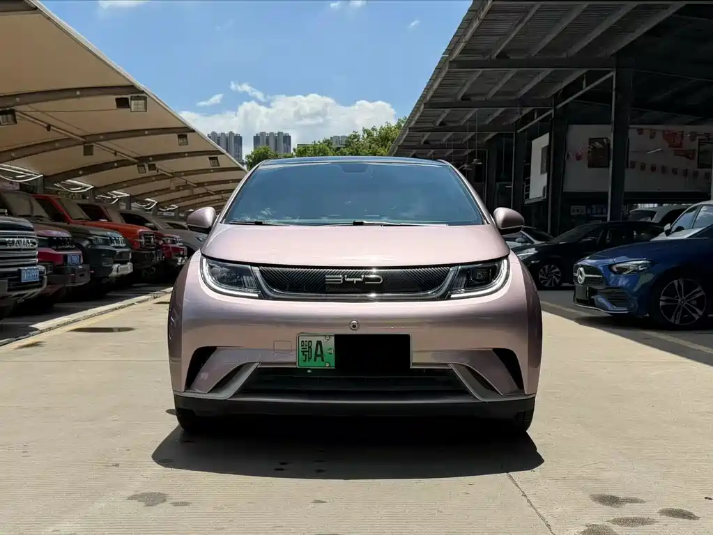 BYD Dolphin — миниатюра 2