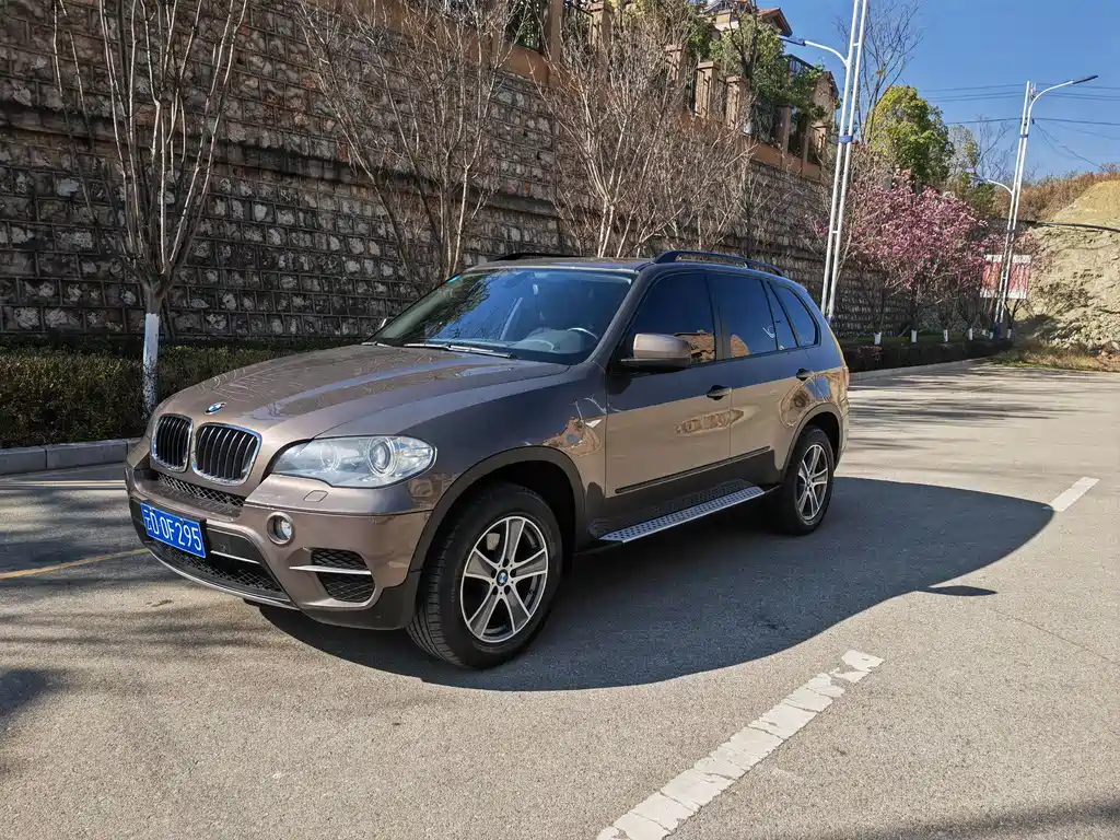 BMW X5 (Import) 2011