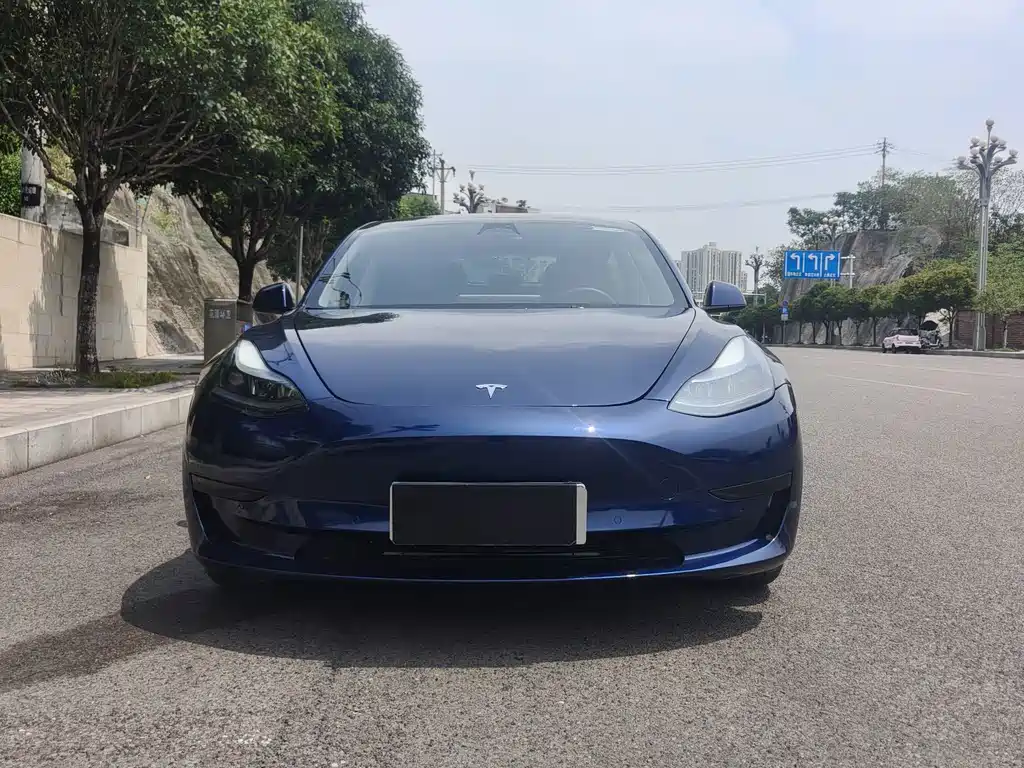 Tesla Model 3 — миниатюра 2