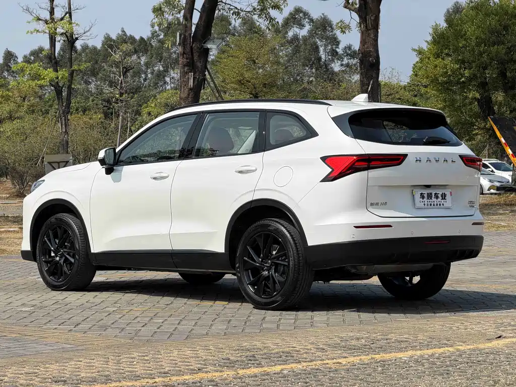 Haval H6 — миниатюра 8