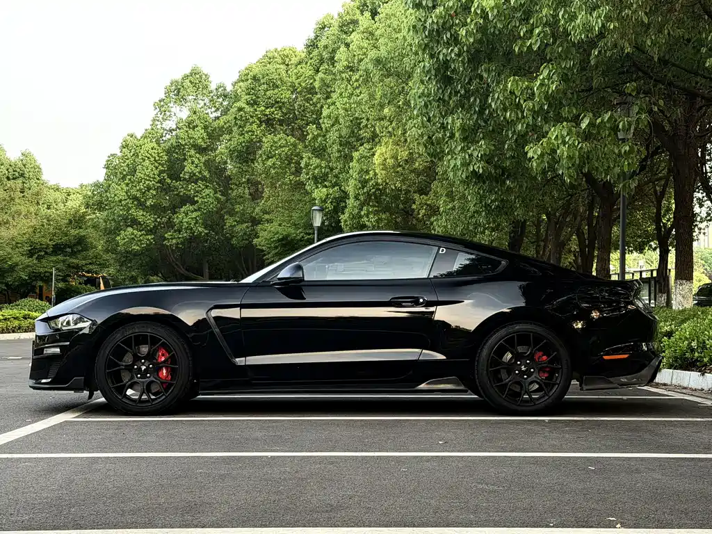 Ford Mustang — миниатюра 4