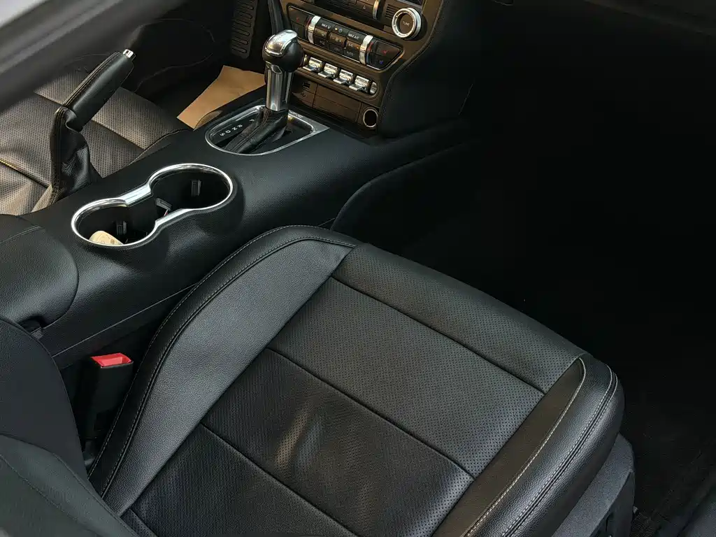 Ford Mustang — миниатюра 13