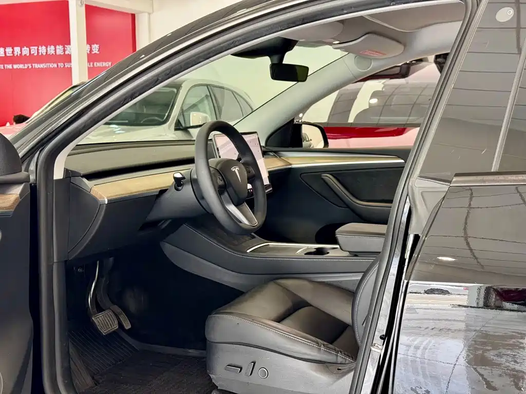 Tesla Model Y — миниатюра 4