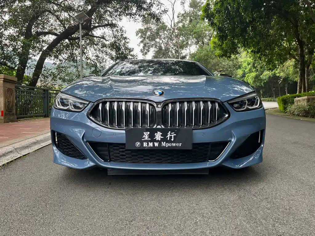 BMW 8 Series 2020