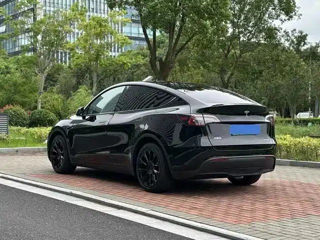 Tesla Model Y — миниатюра 4