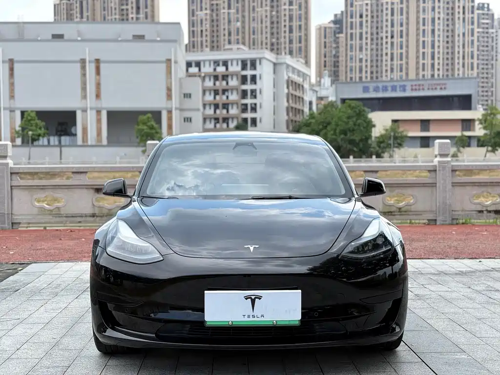 Tesla Model 3 — миниатюра 2