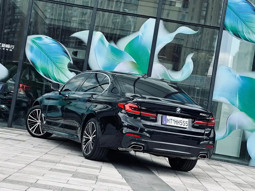 BMW 5 Series — миниатюра 4