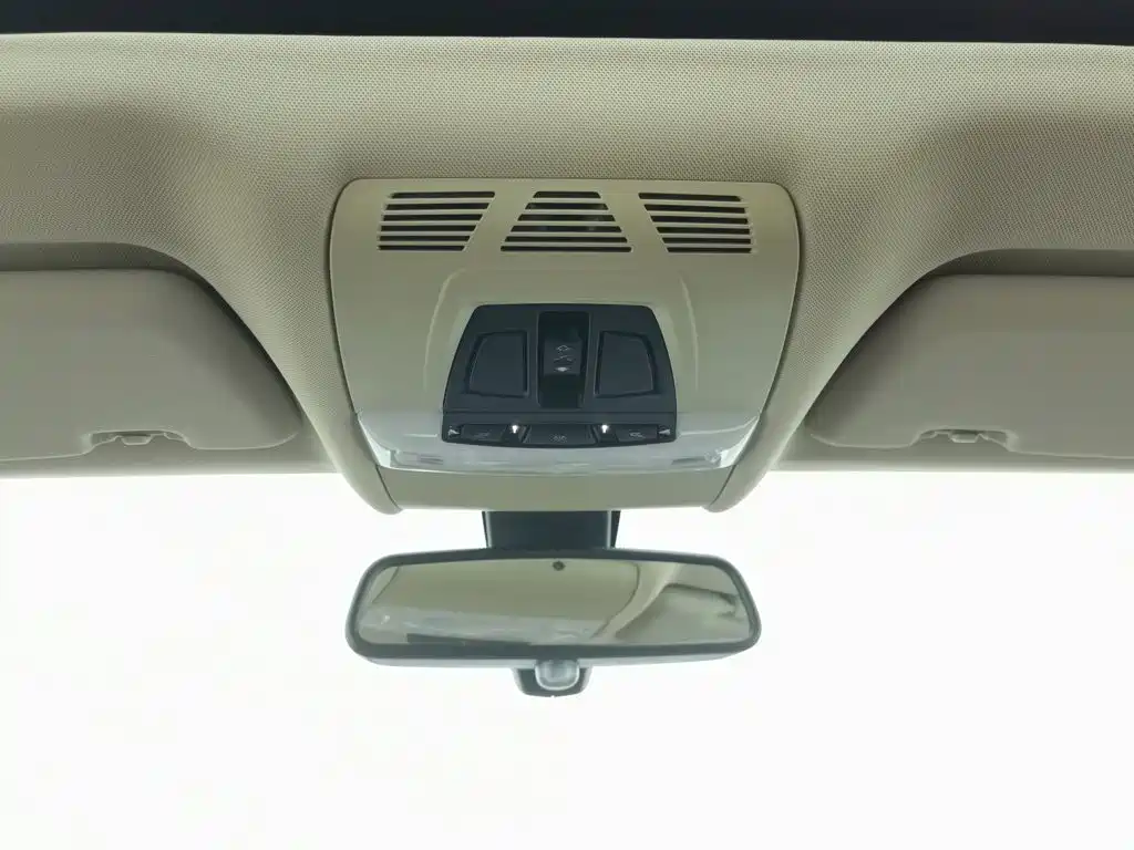BMW X5 (Import) — миниатюра 26