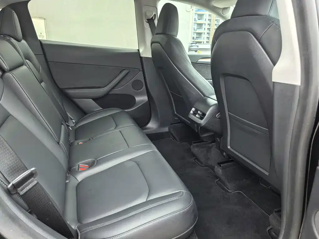 Tesla Model Y — миниатюра 15