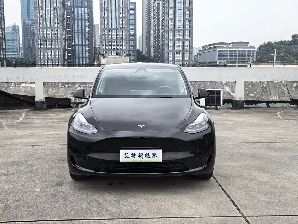 Tesla Model Y — миниатюра 3