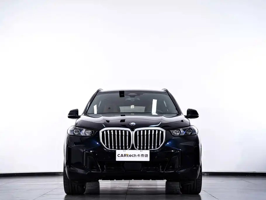 BMW X5 — миниатюра 4