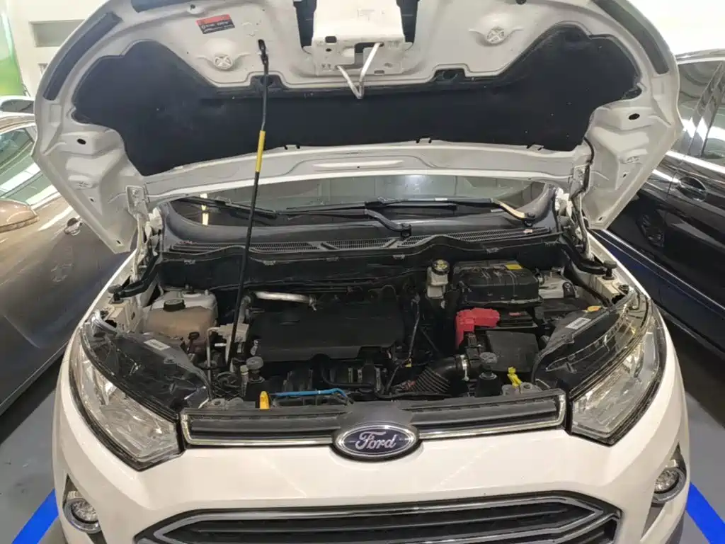 Ford Ecosport — миниатюра 20