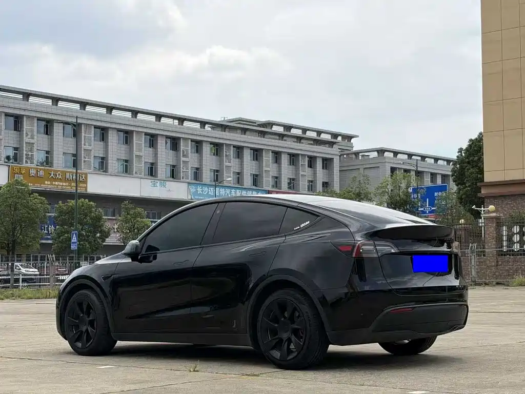 Tesla Model Y — миниатюра 9