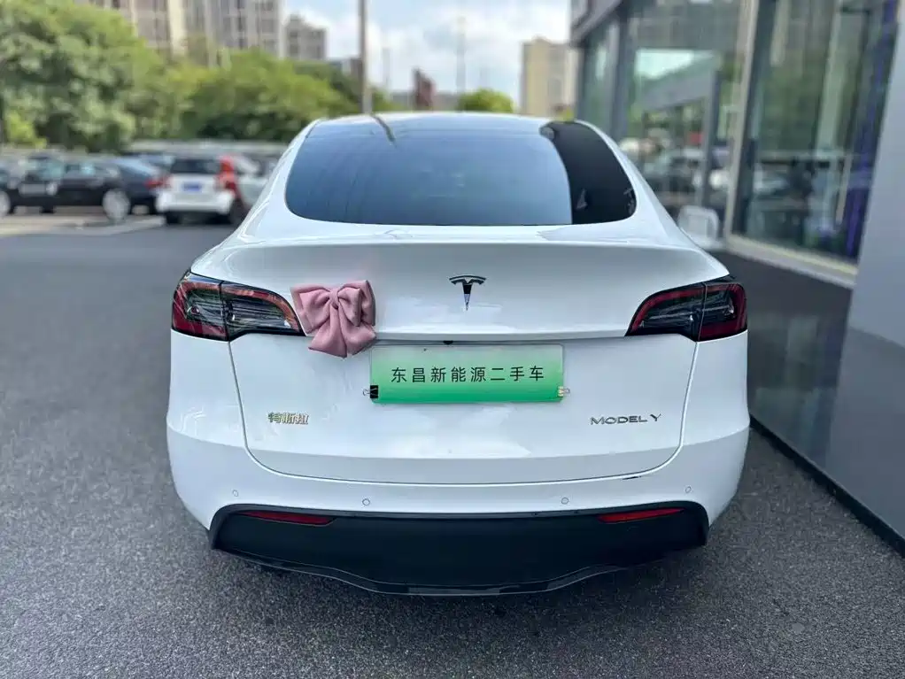 Tesla Model Y — миниатюра 5