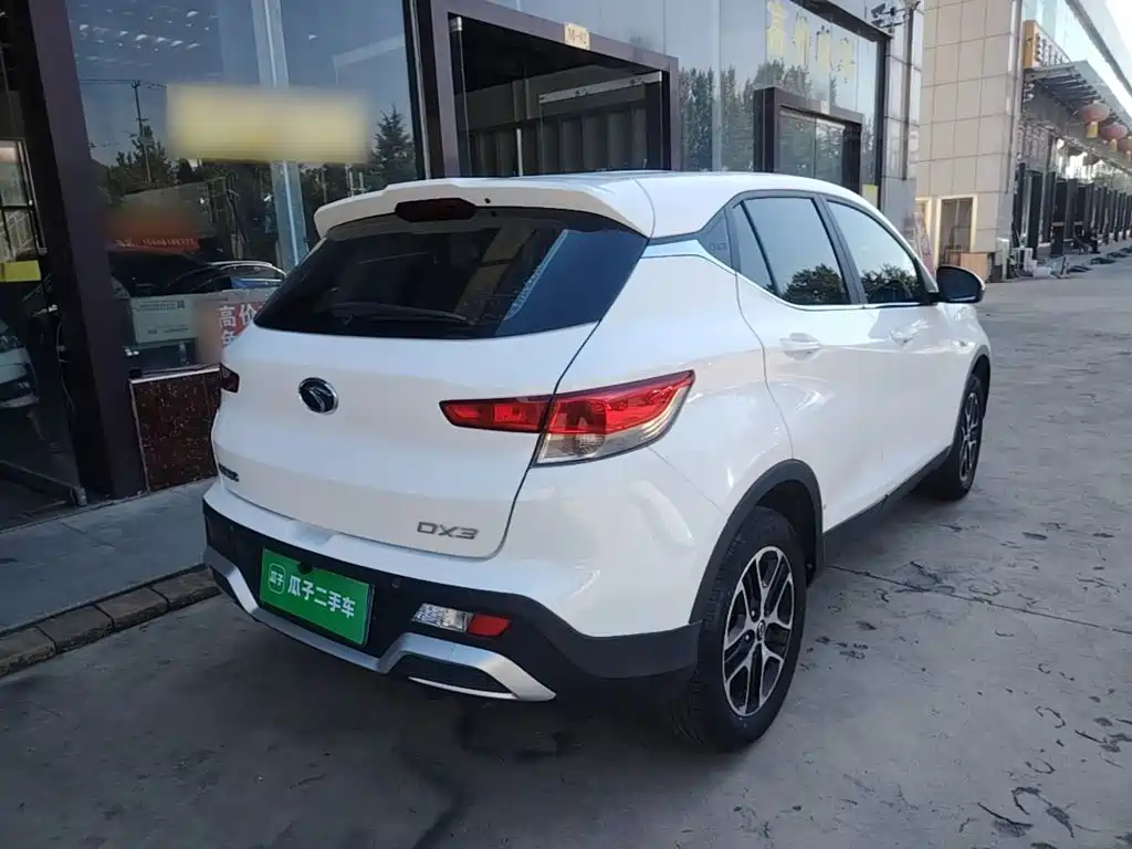 Soueast DX3 — миниатюра 7
