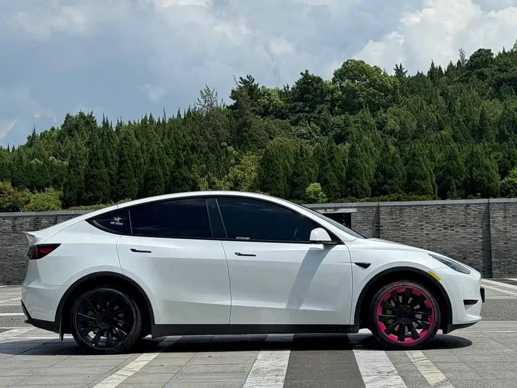 Tesla Model Y — миниатюра 4