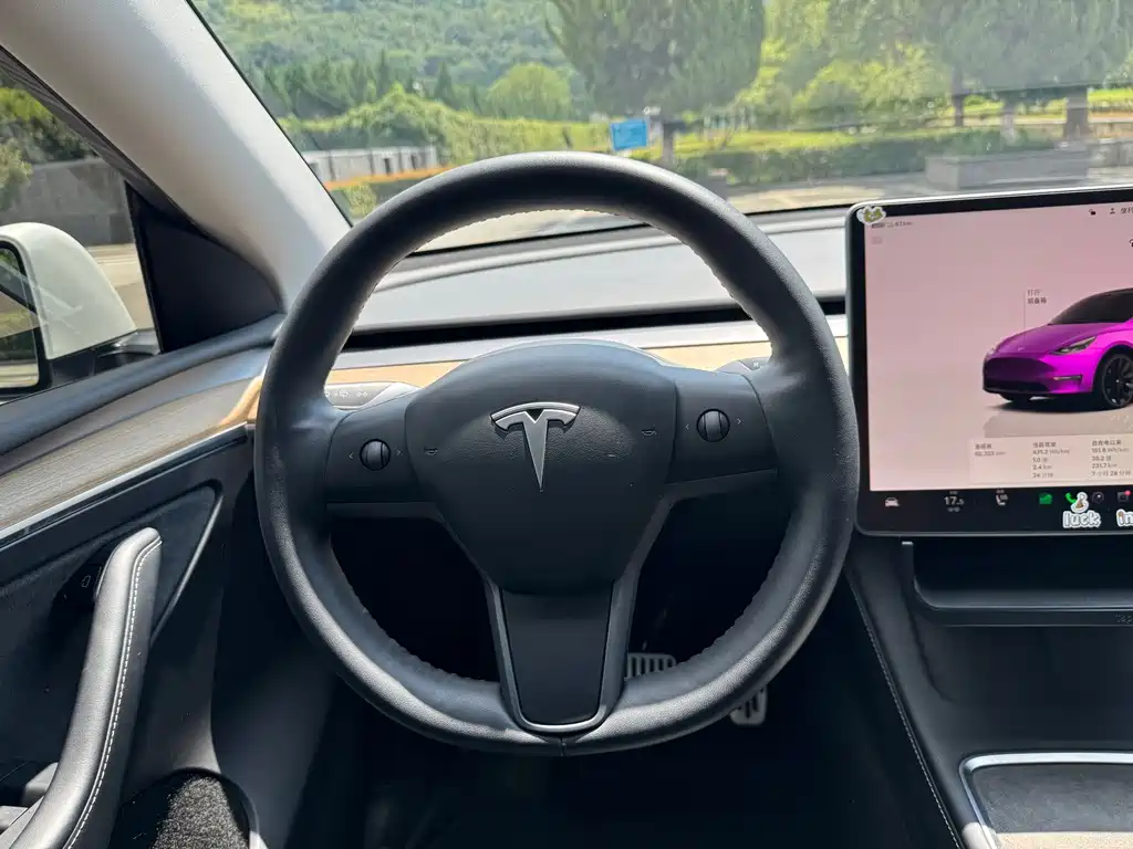 Tesla Model Y — миниатюра 15