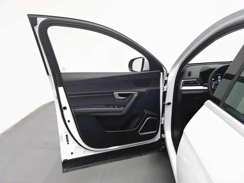 BYD Pro — миниатюра 8