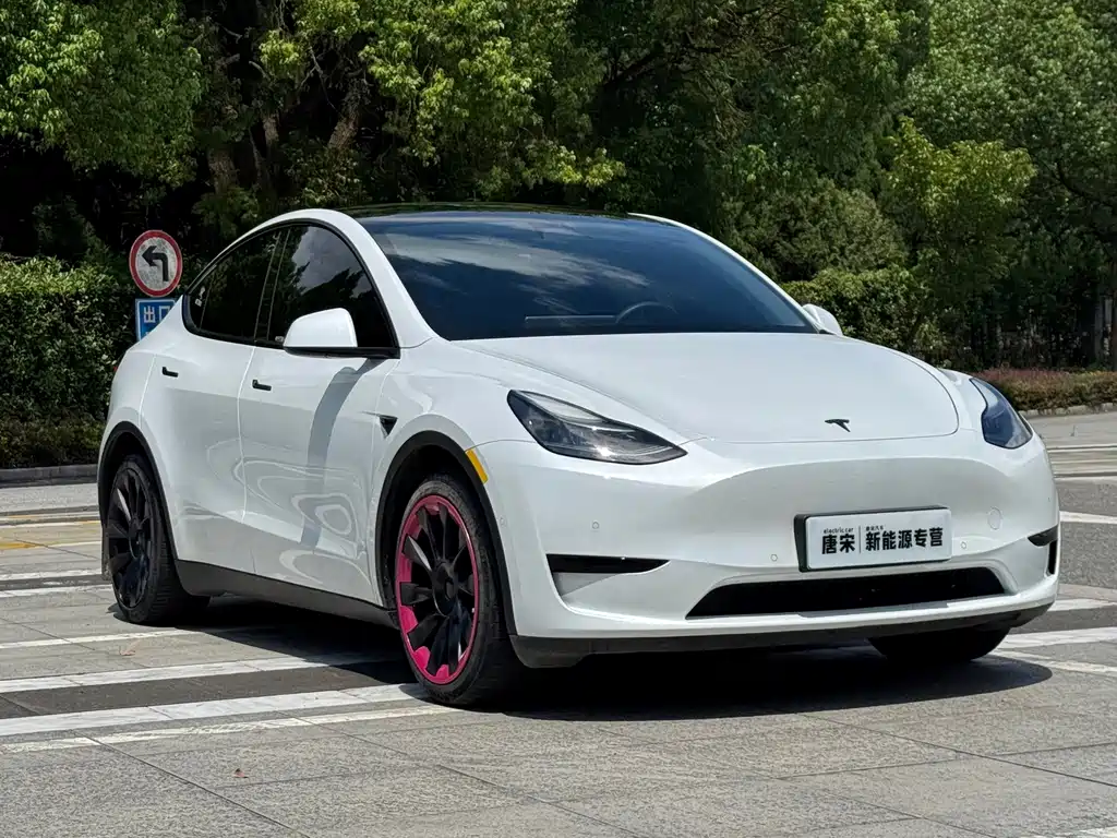 Tesla Model Y — миниатюра 3