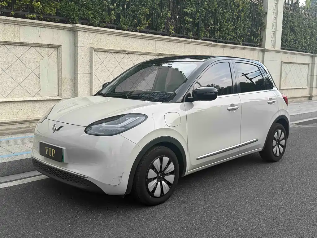 2024 Wuling Motors Binguo - zdjęcie 1 z 13