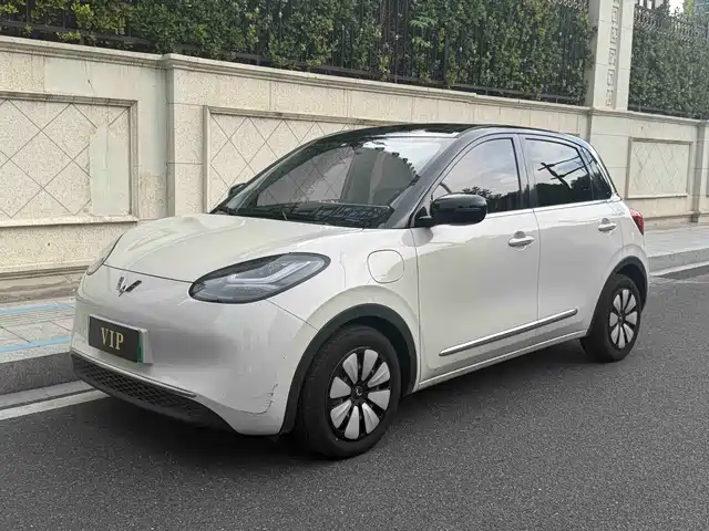 2024 Wuling Motors Binguo