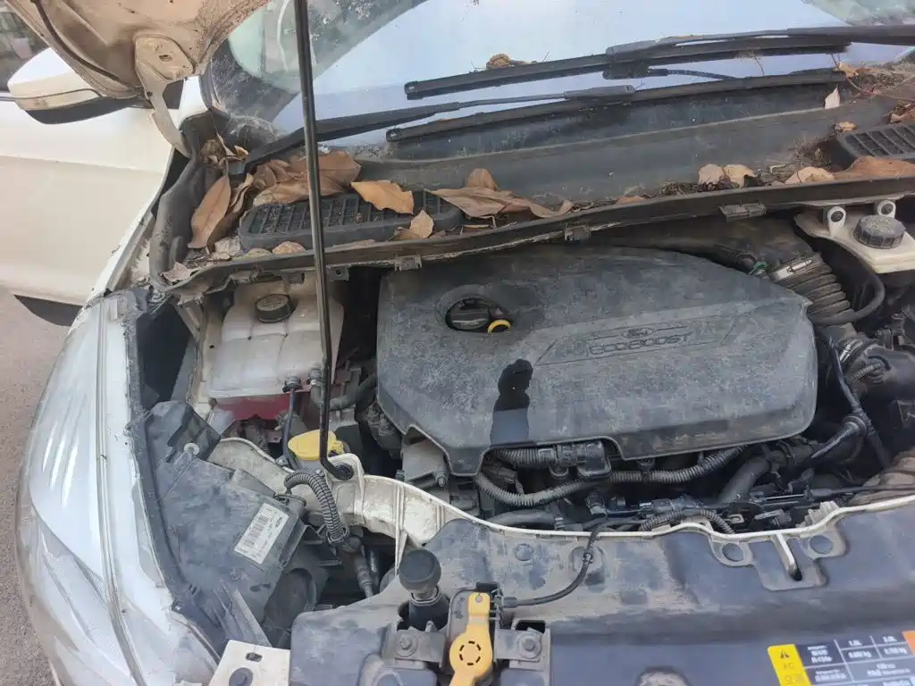 Ford Kuga — миниатюра 20