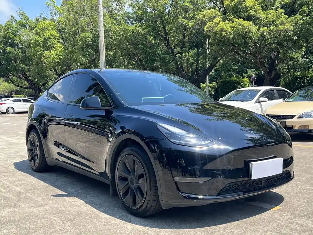 Tesla Model Y — миниатюра 3