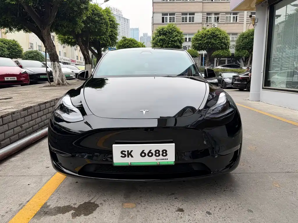 Tesla Model Y — миниатюра 2