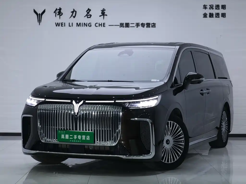 Voyah 2025 PHEV Flagship