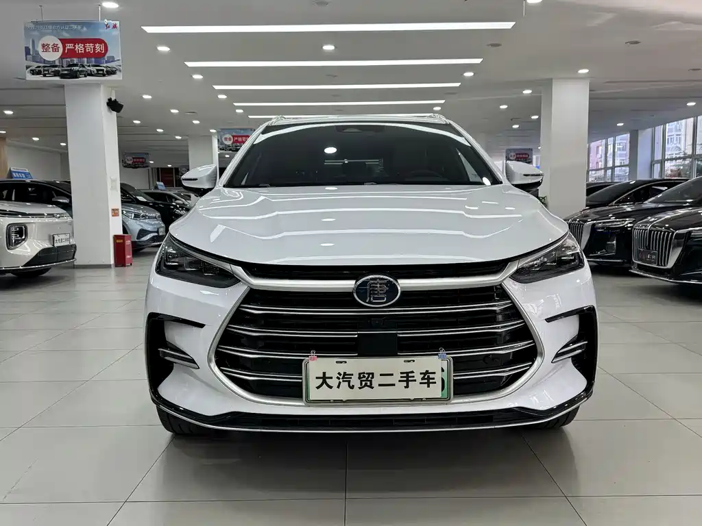 BYD Tang New Energy — миниатюра 2