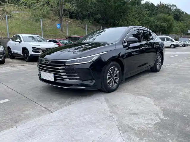 BYD DESTROYER 05