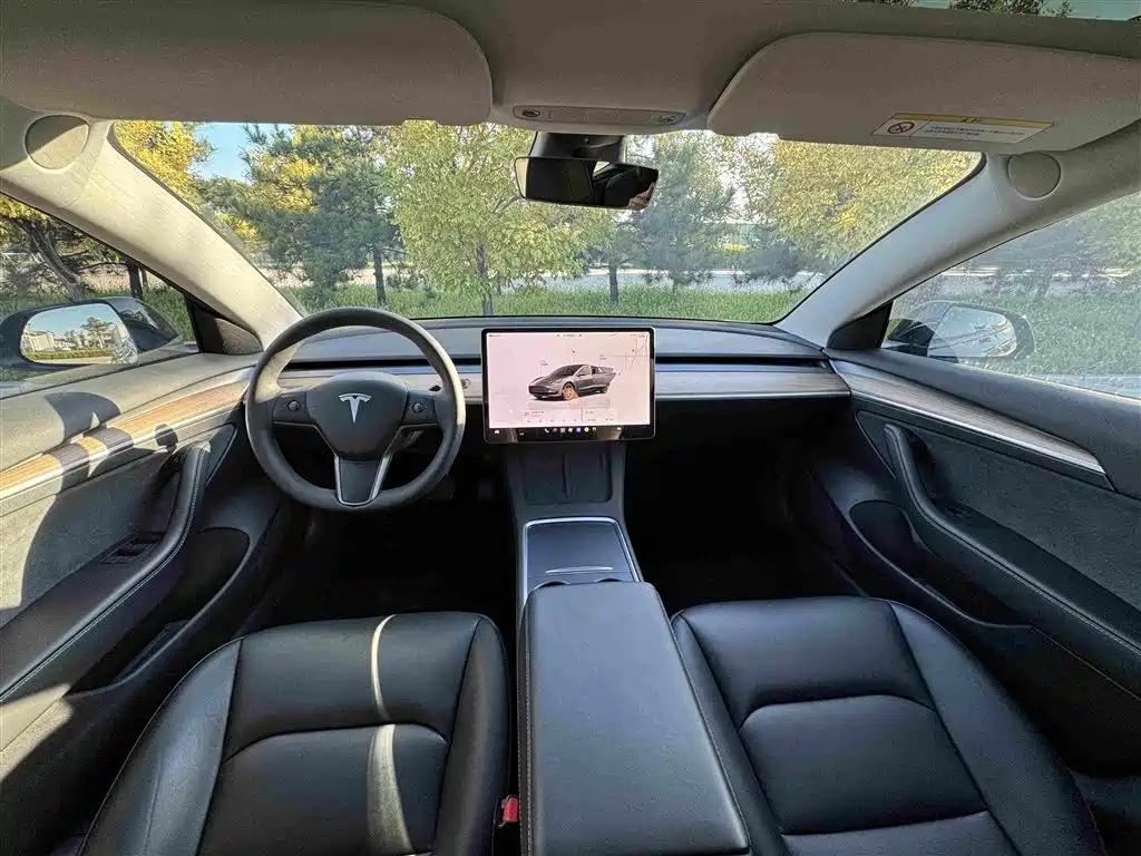 Tesla Model 3 — миниатюра 6