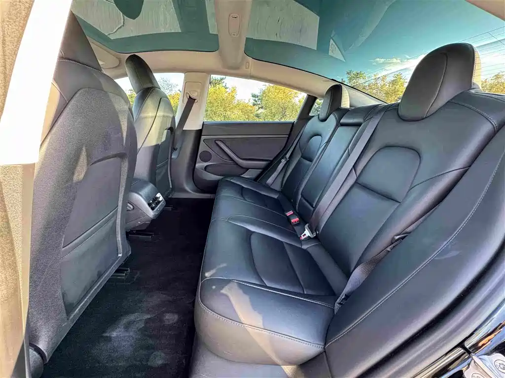Tesla Model 3 — миниатюра 8