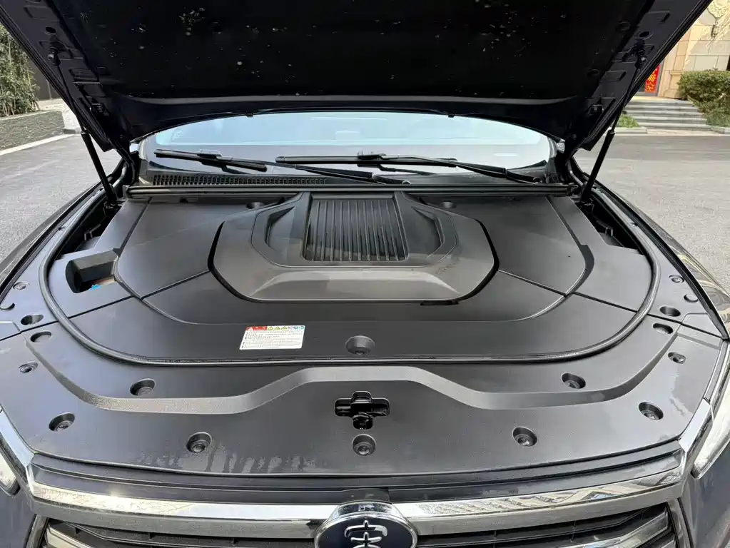 BYD SONGJIANG NEW ENERGY