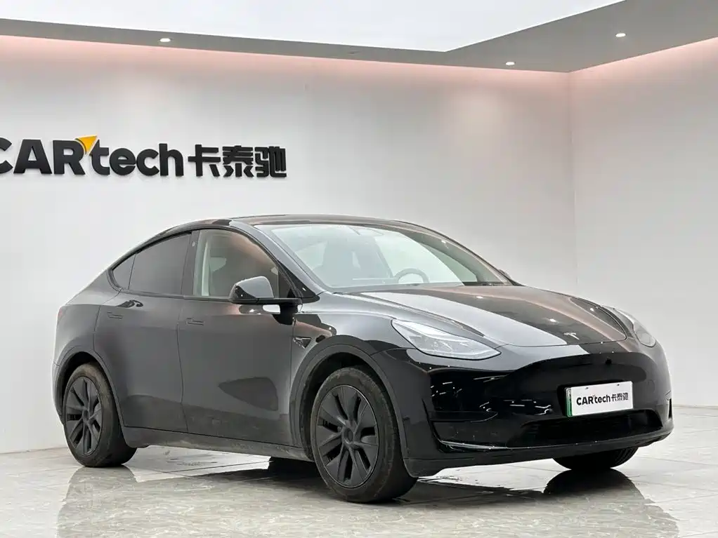 Tesla Model Y — миниатюра 6