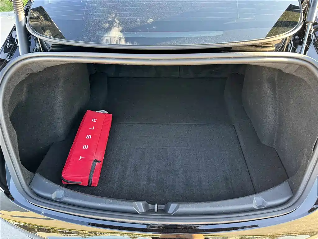 Tesla Model 3 — миниатюра 14
