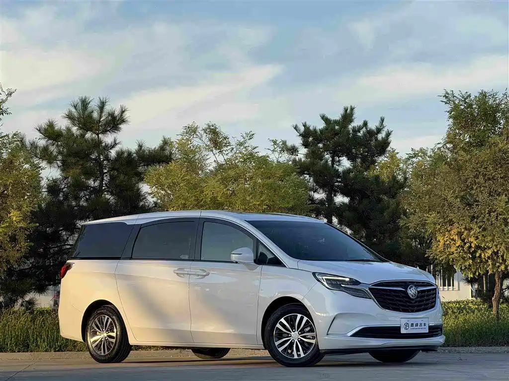 Buick GL8 — миниатюра 3