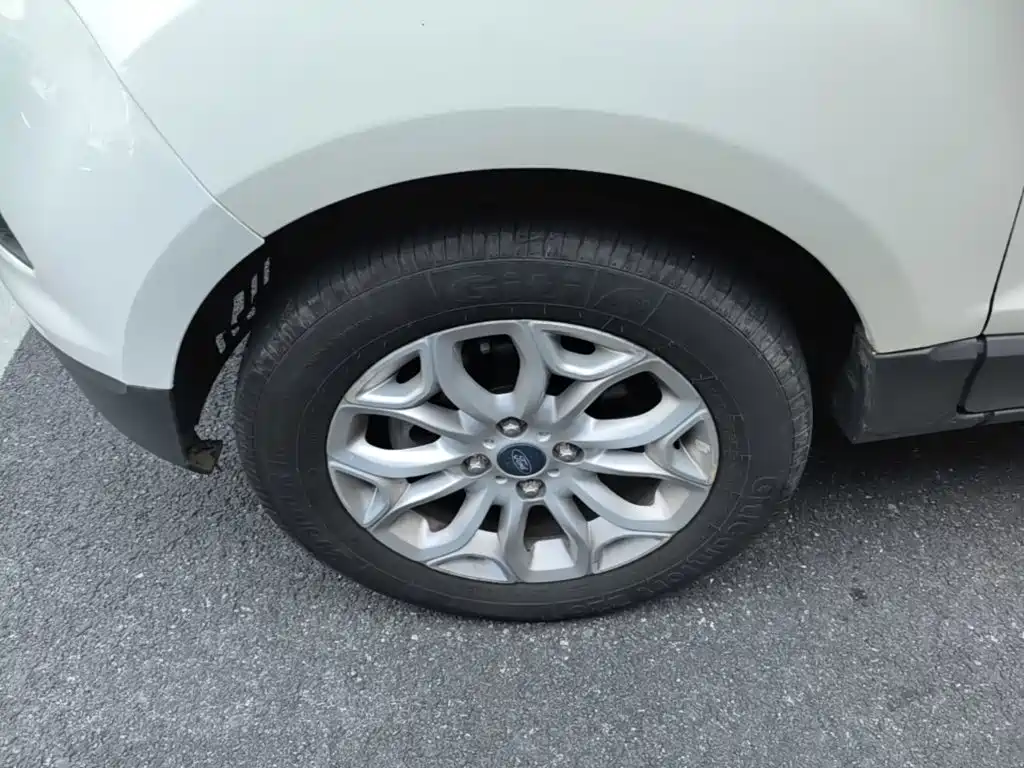 Ford Ecosport — миниатюра 23