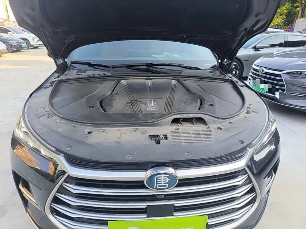 BYD Tang New Energy — миниатюра 20