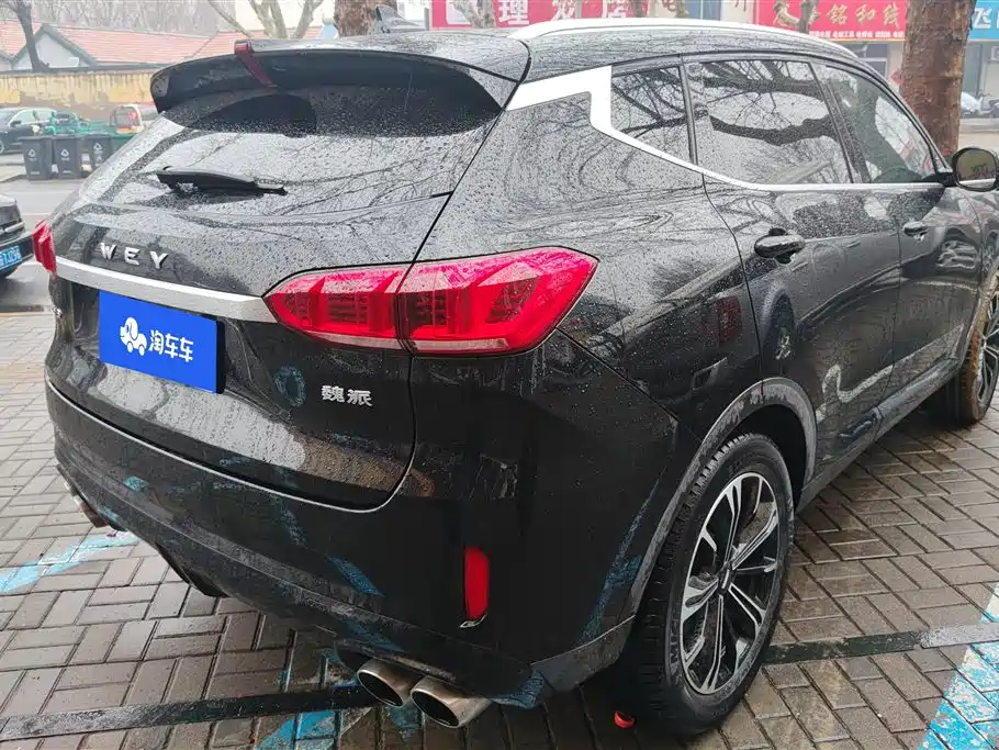 WEI PAI WEI BRAND VV6