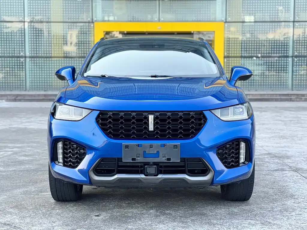 WEI PAI WEI BRAND VV5