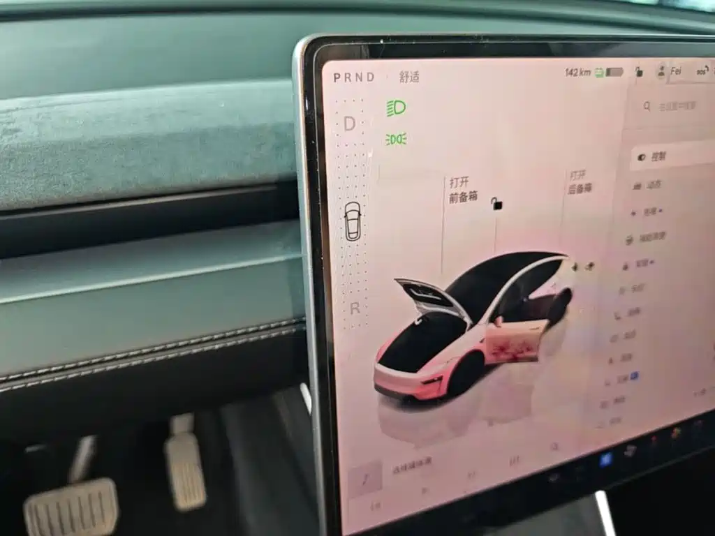 Tesla Model Y — миниатюра 14