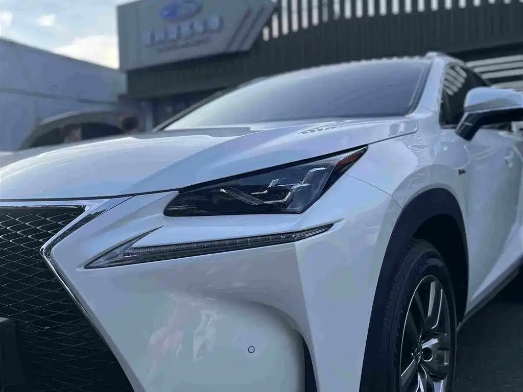 Lexus NX — миниатюра 24