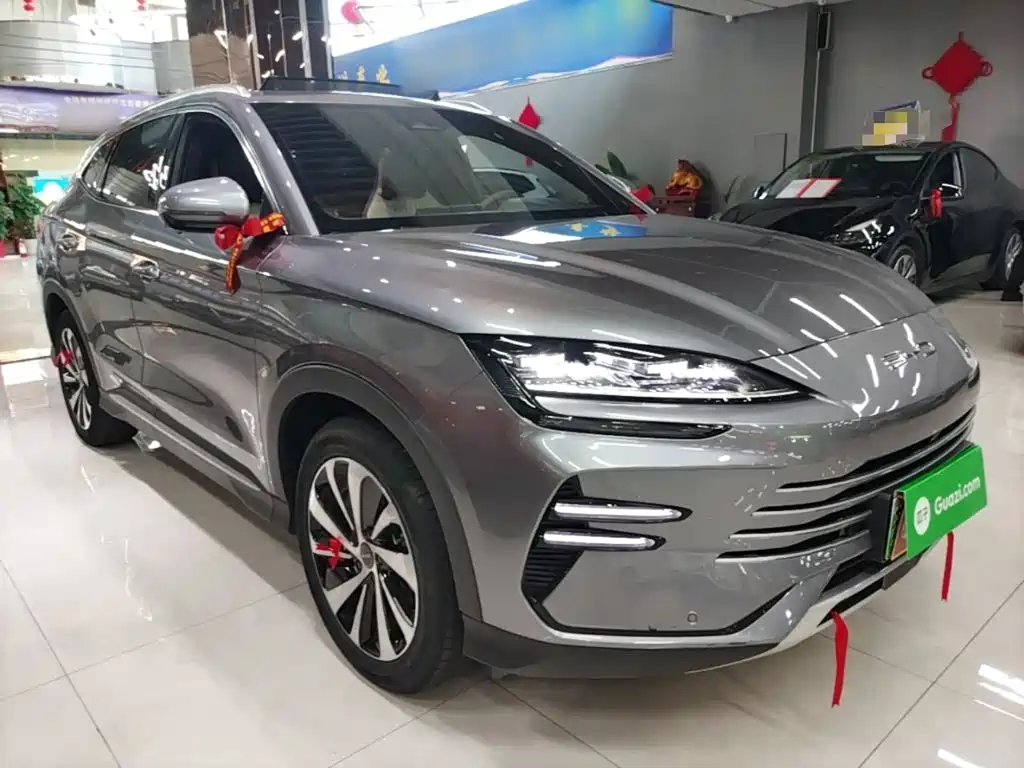 BYD PLUS New Energy — миниатюра 4