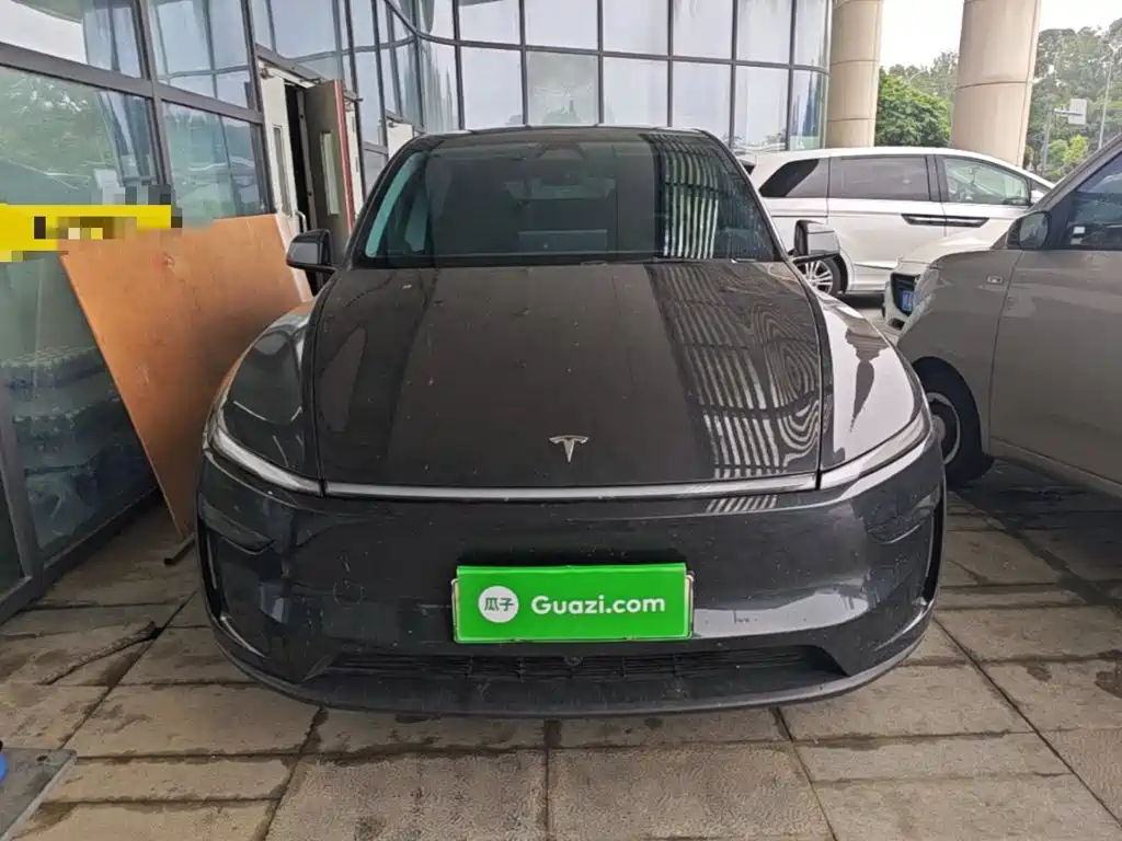 Tesla Model Y — миниатюра 3