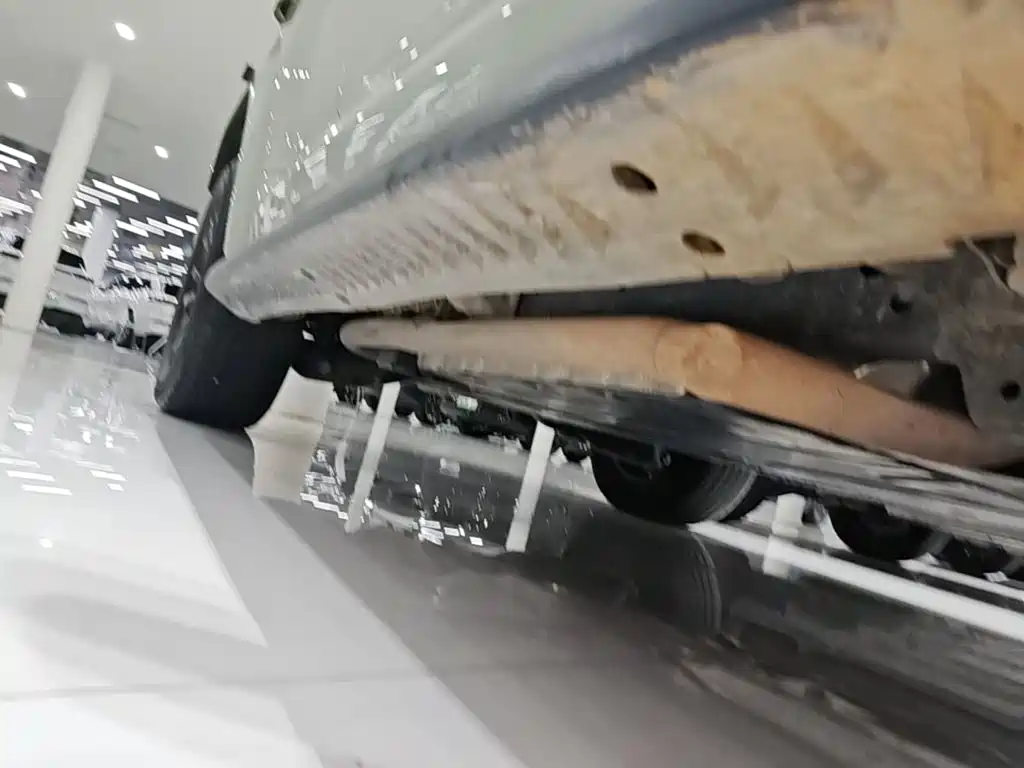 Fang Cheng Bao Leopard 5 — миниатюра 21