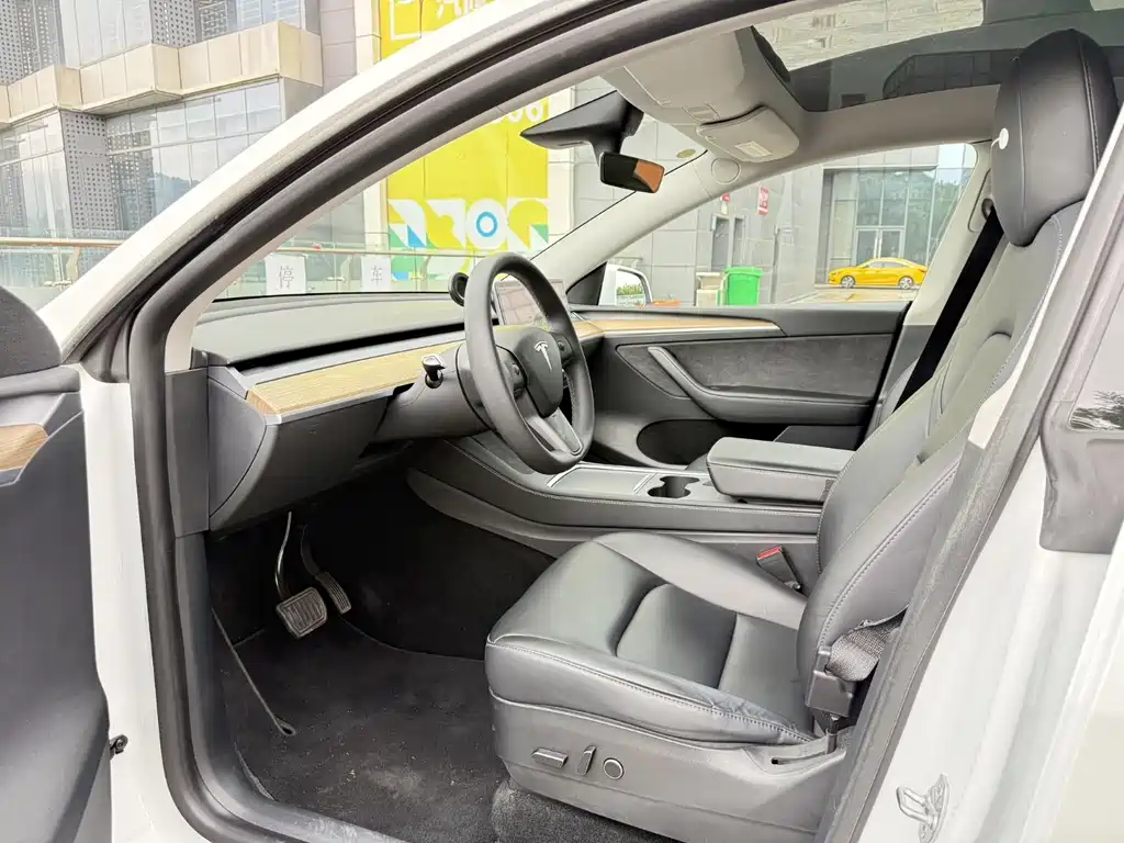Tesla Model Y — миниатюра 5