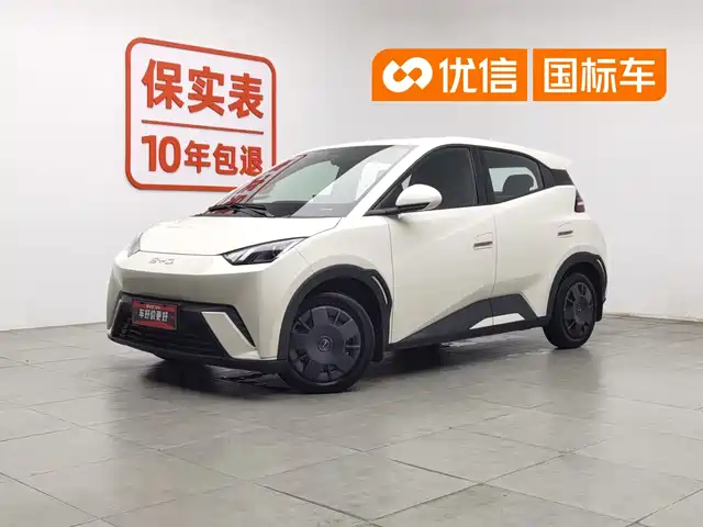 2024 BYD Seagull