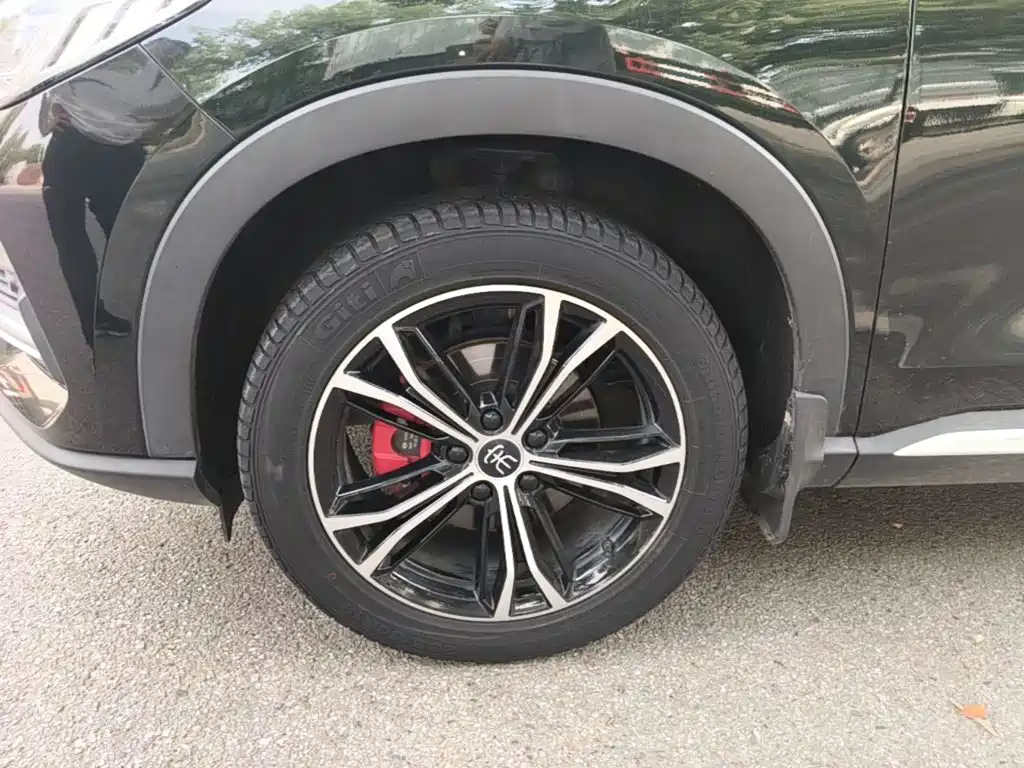 BYD PLUS — миниатюра 23